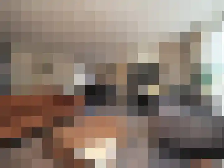 Boerenschouw 4 Papendrecht thumbnail 19