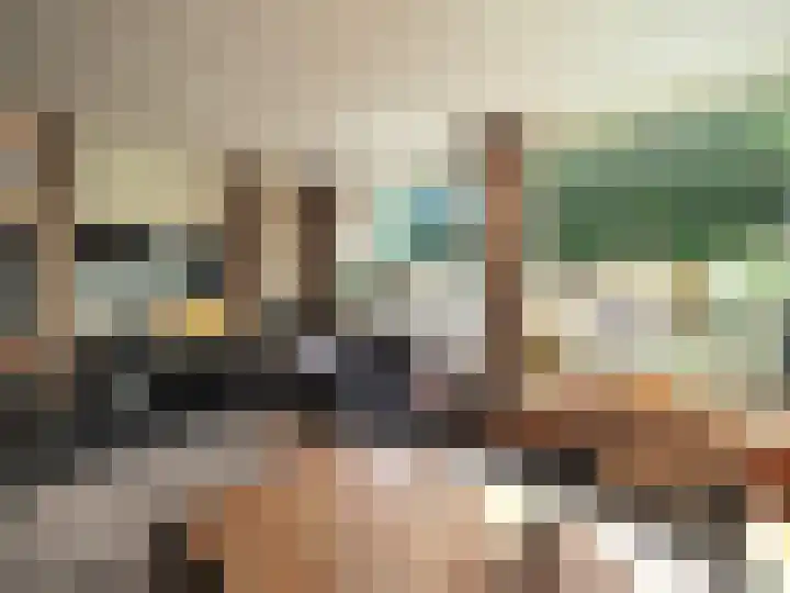 Boerenschouw 4 Papendrecht thumbnail 20