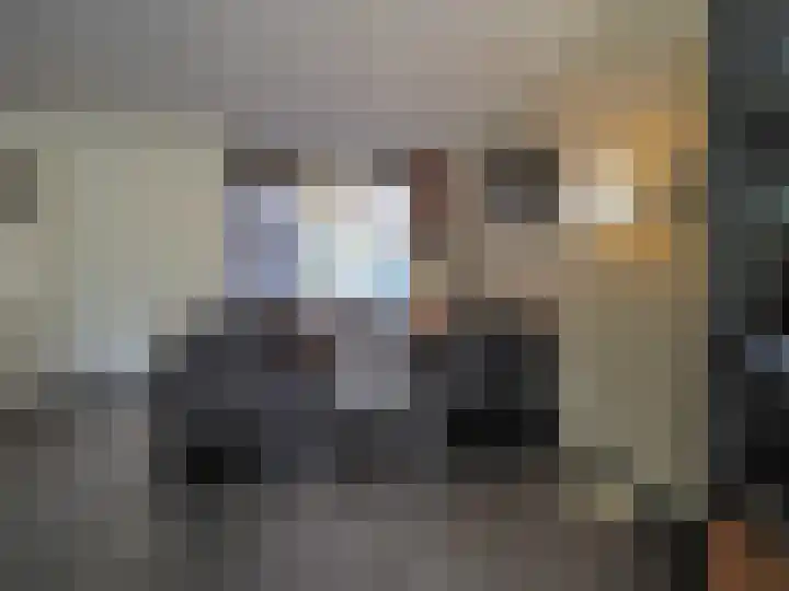 Boerenschouw 4 Papendrecht thumbnail 24