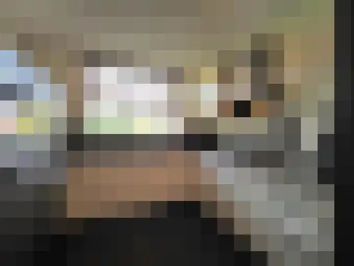 Boerenschouw 4 Papendrecht thumbnail 30