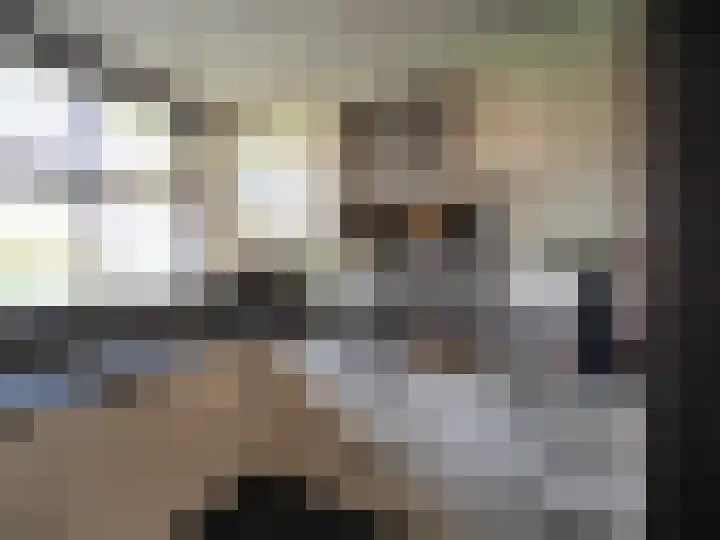 Boerenschouw 4 Papendrecht thumbnail 32
