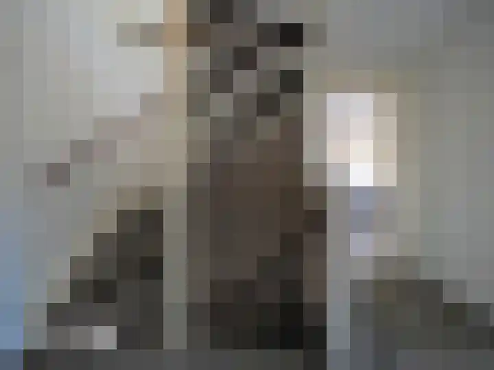 Boerenschouw 4 Papendrecht thumbnail 33