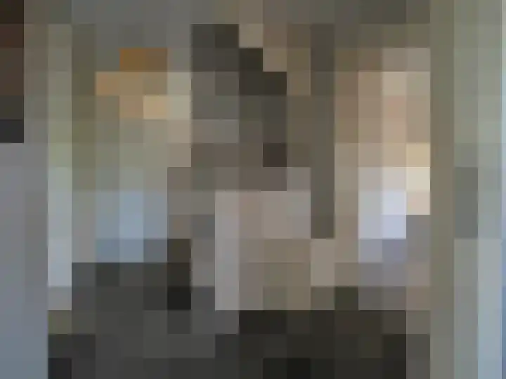 Boerenschouw 4 Papendrecht thumbnail 34