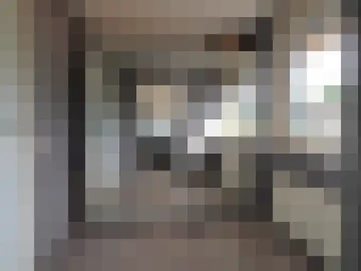 Boerenschouw 4 Papendrecht thumbnail 44