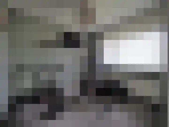 Boerenschouw 4 Papendrecht thumbnail 45