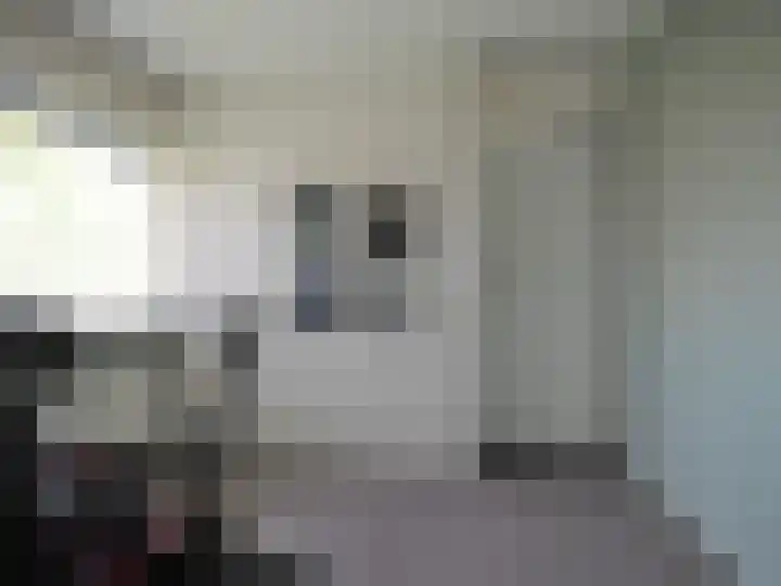Boerenschouw 4 Papendrecht thumbnail 46