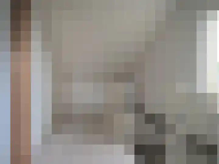 Boerenschouw 4 Papendrecht thumbnail 49
