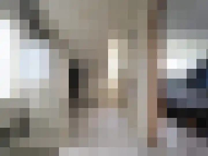Boerenschouw 4 Papendrecht thumbnail 50