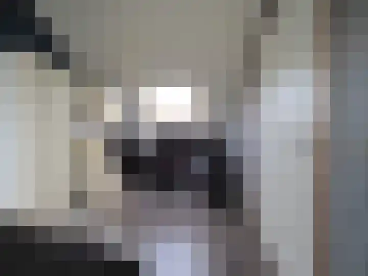 Boerenschouw 4 Papendrecht thumbnail 53