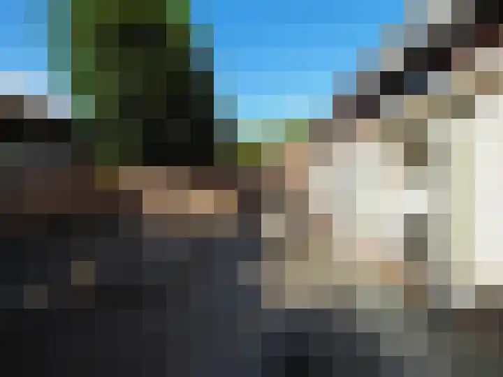 Boerenschouw 4 Papendrecht thumbnail 58