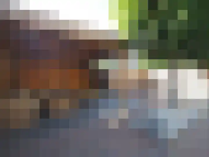 Boerenschouw 4 Papendrecht thumbnail 65