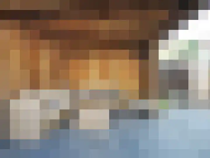 Boerenschouw 4 Papendrecht thumbnail 66