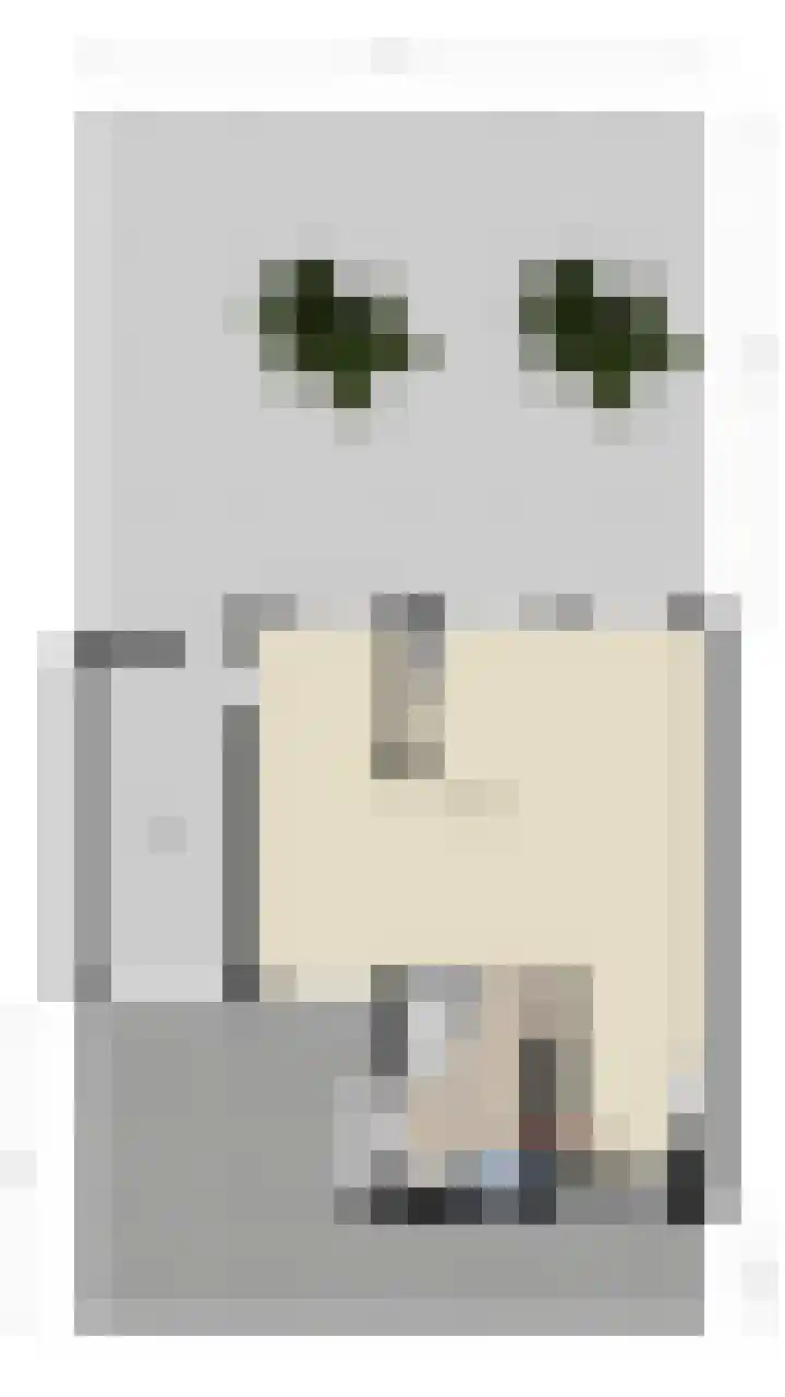 Boerenschouw 4 Papendrecht thumbnail 69