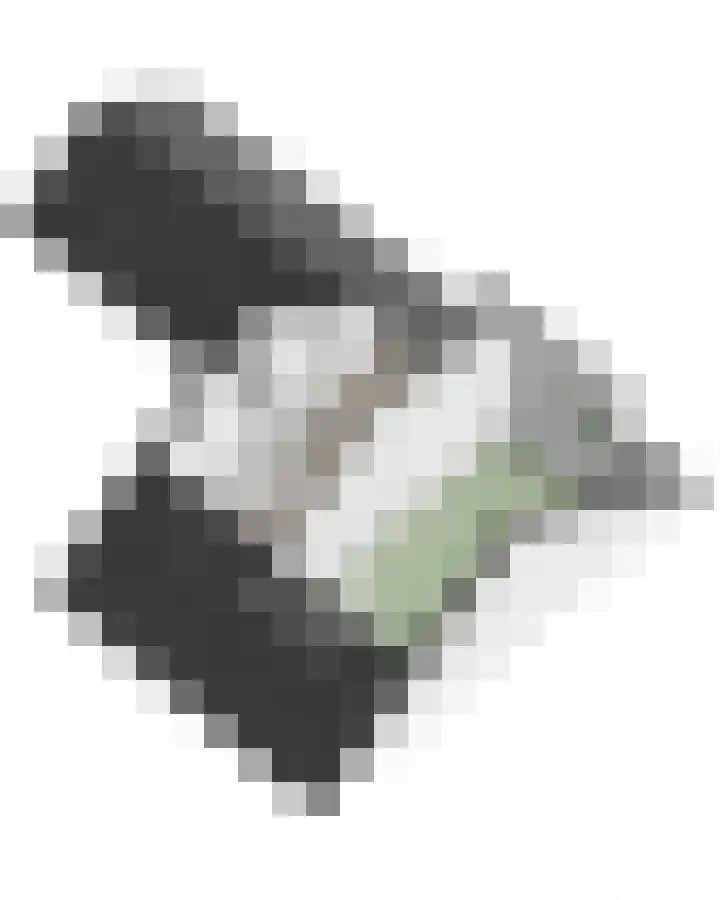 Boerenschouw 4 Papendrecht thumbnail 76