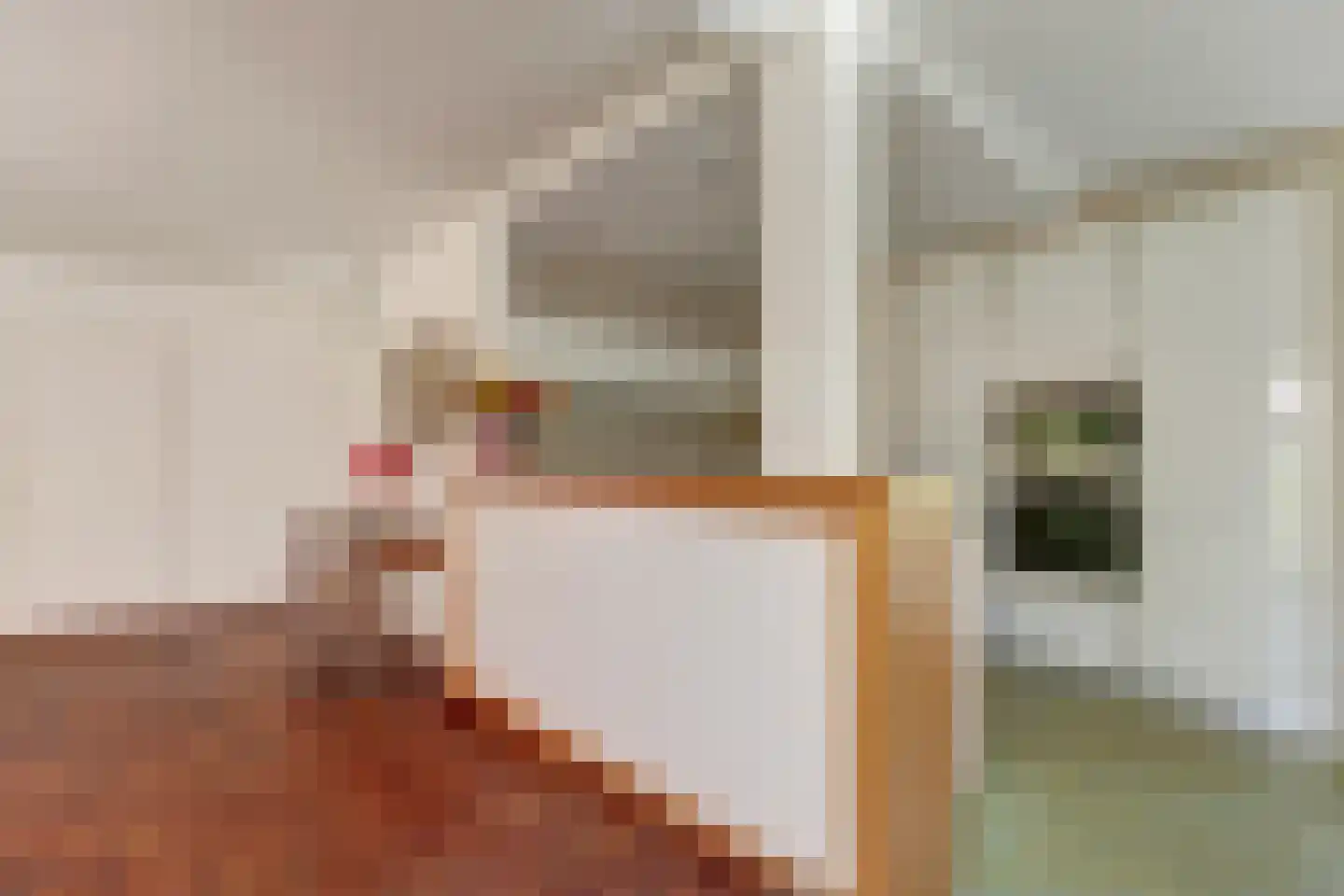 Boerensloot 4 Gouda thumbnail 17
