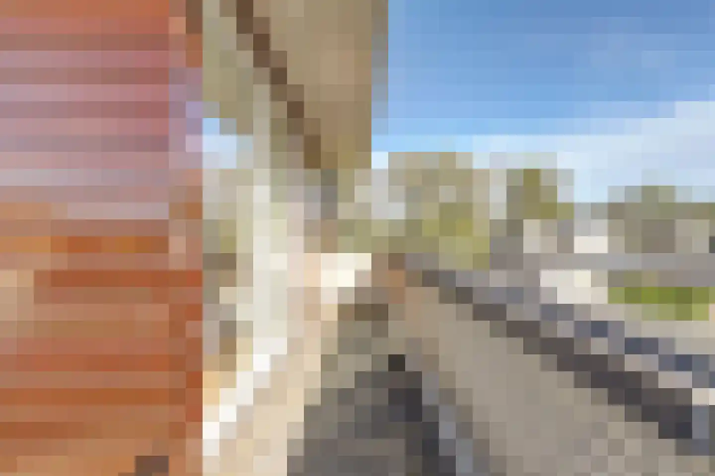 Boerensloot 4 Gouda thumbnail 35