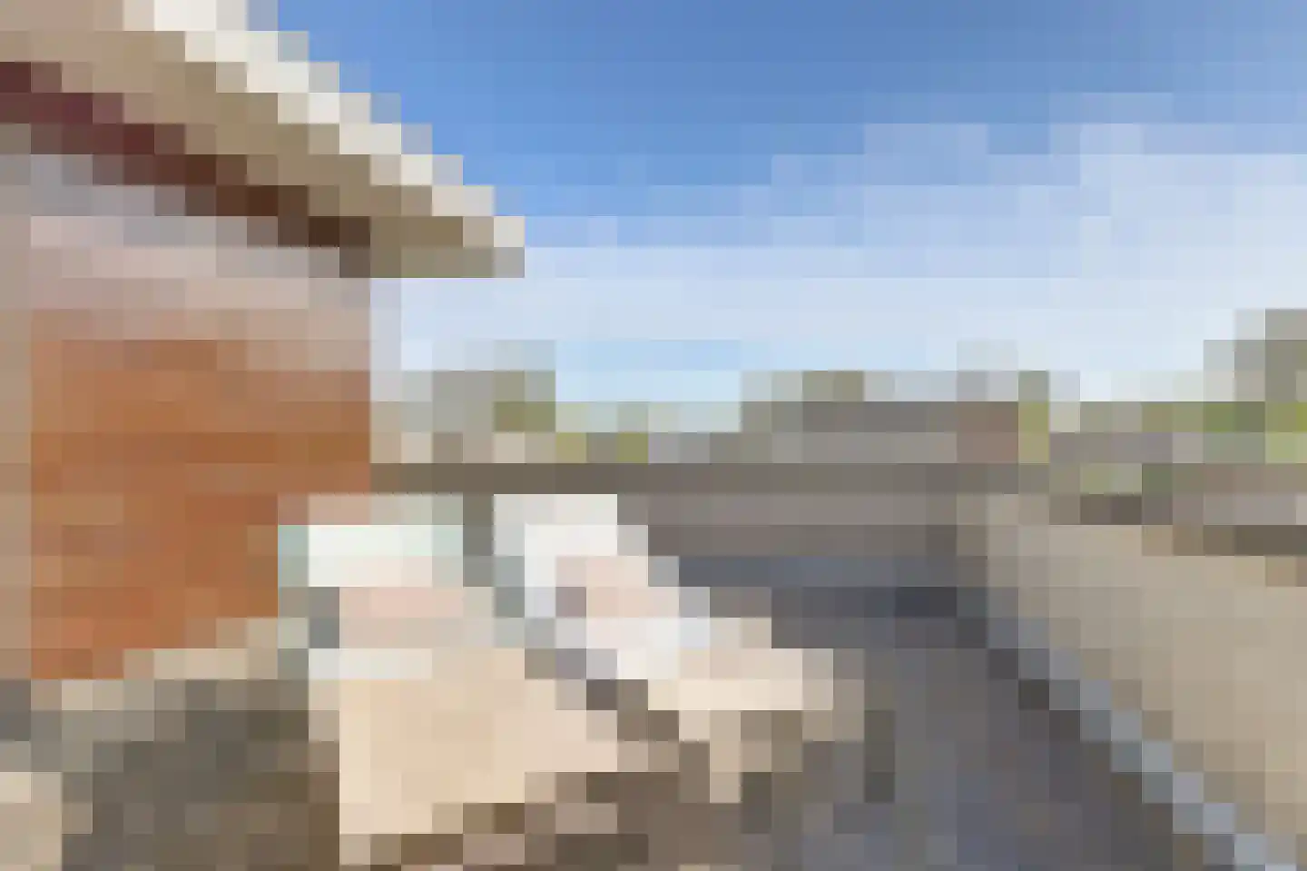 Boerensloot 4 Gouda thumbnail 37