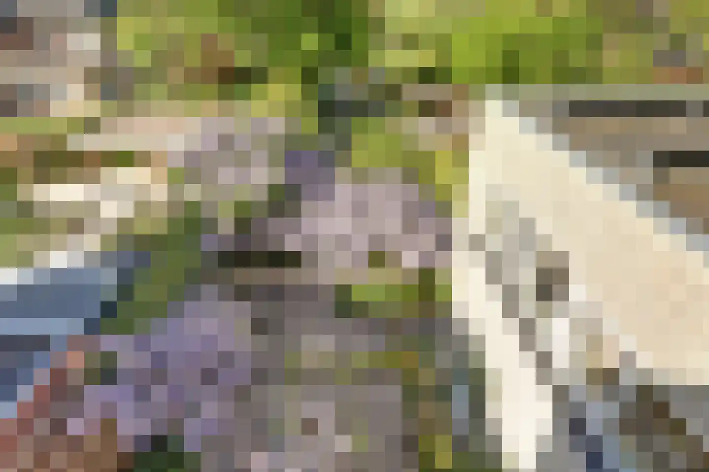 Boerensloot 4 Gouda thumbnail 38