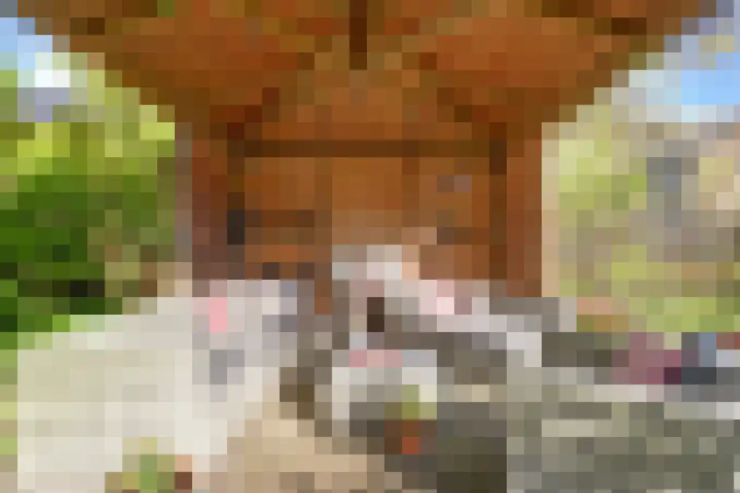 Boerensloot 4 Gouda thumbnail 42