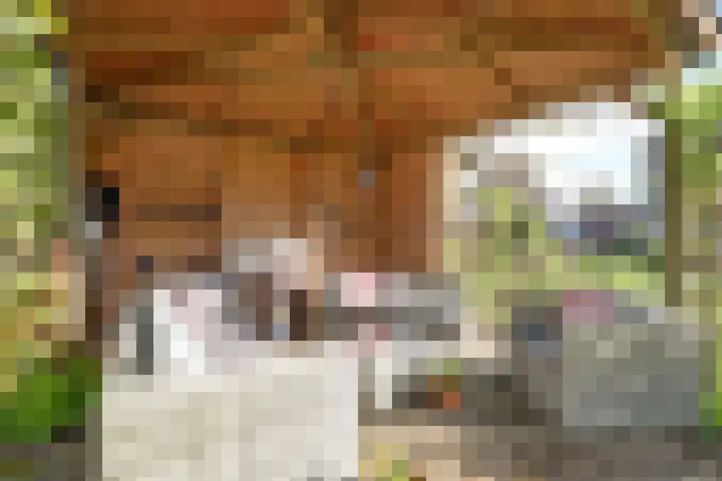 Boerensloot 4 Gouda thumbnail 43
