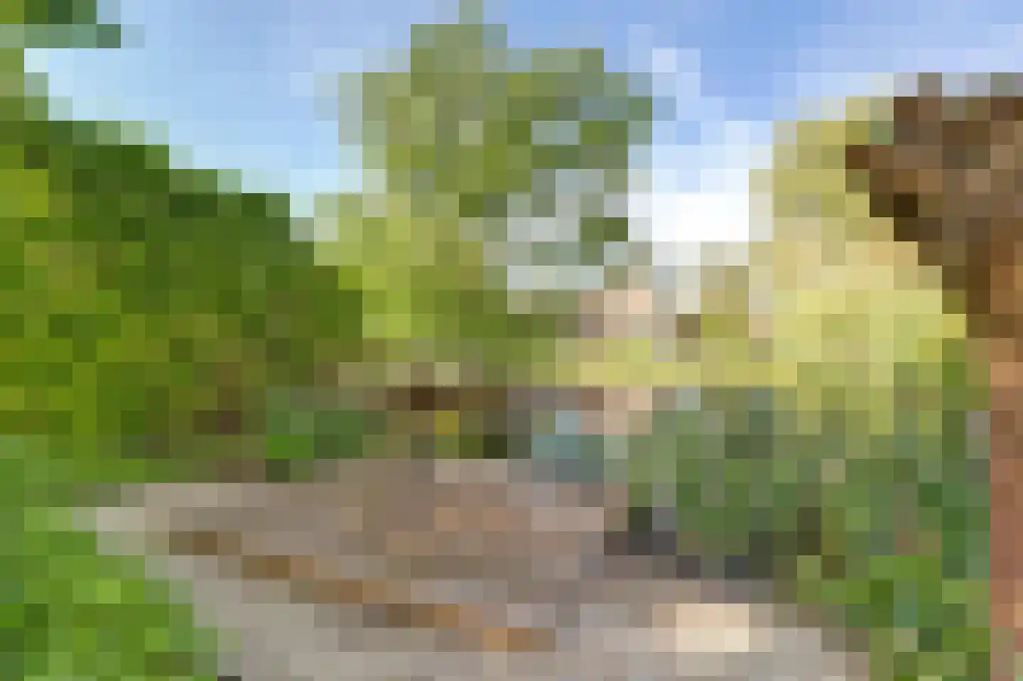 Boerensloot 4 Gouda thumbnail 46