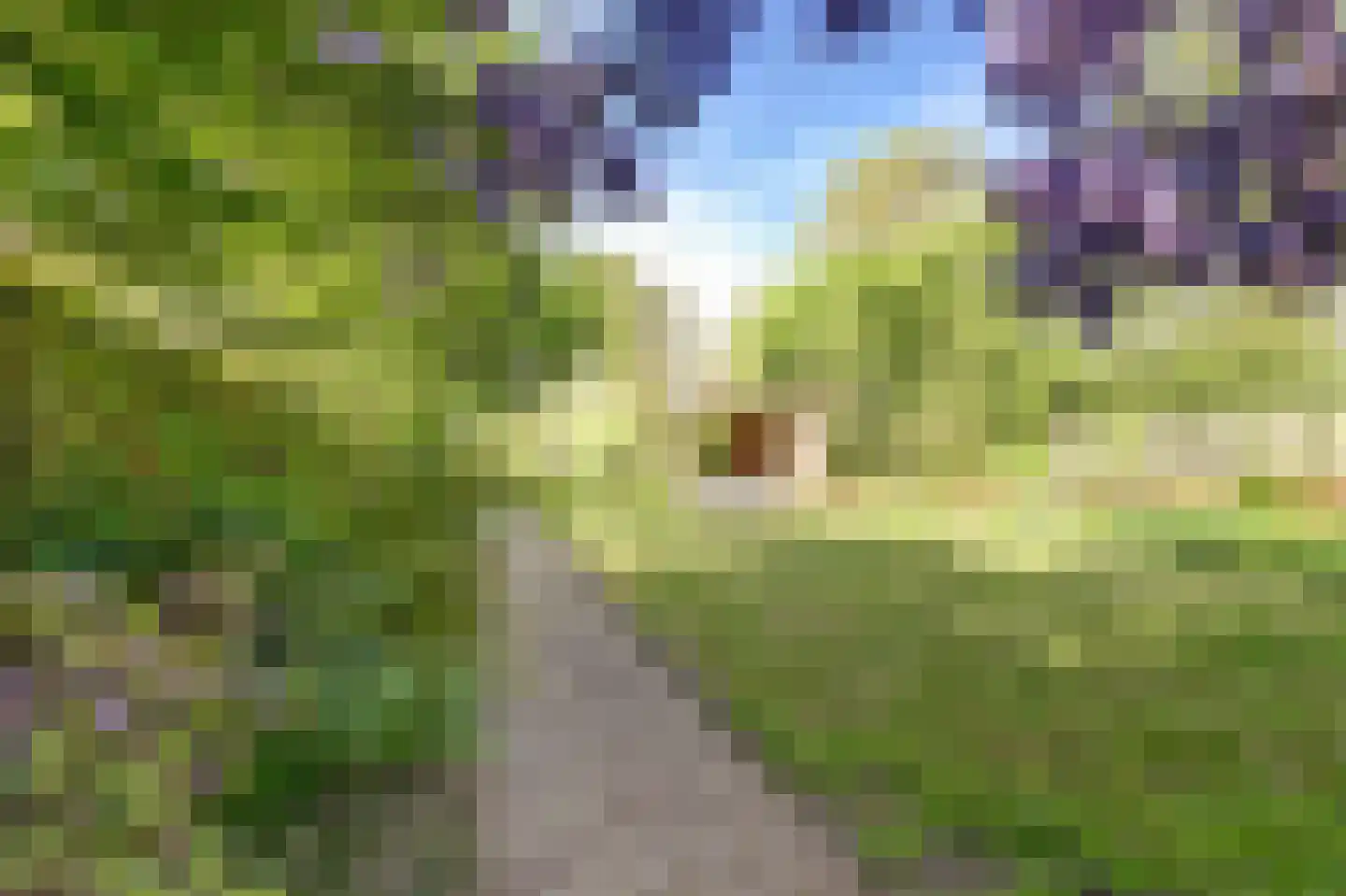 Boerensloot 4 Gouda thumbnail 48