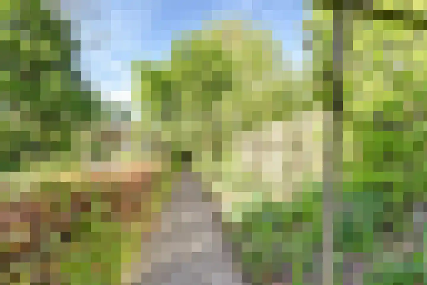 Boerensloot 4 Gouda thumbnail 54