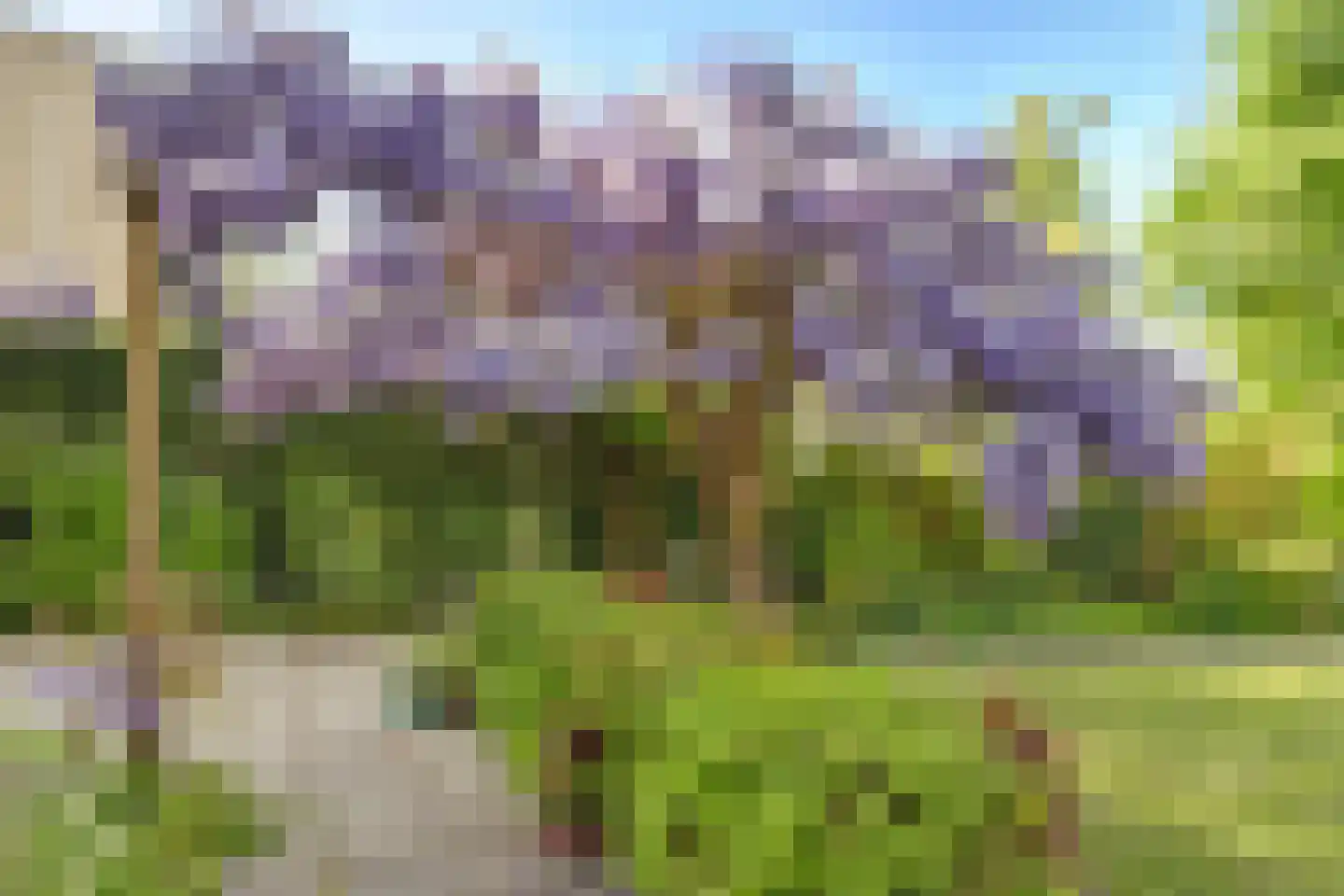 Boerensloot 4 Gouda thumbnail 55