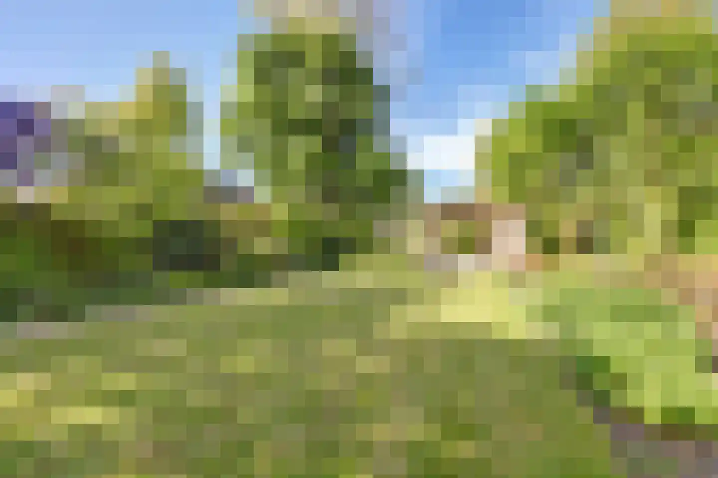 Boerensloot 4 Gouda thumbnail 56