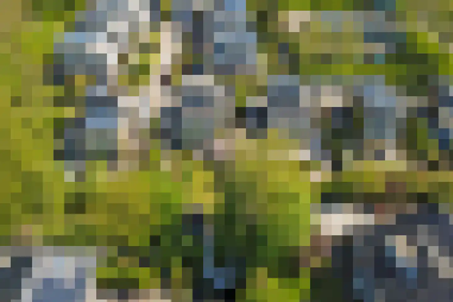 Boerensloot 4 Gouda thumbnail 59