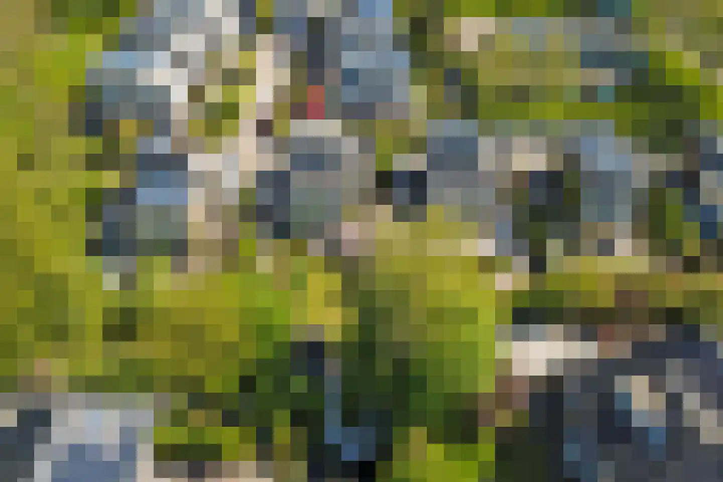 Boerensloot 4 Gouda thumbnail 6