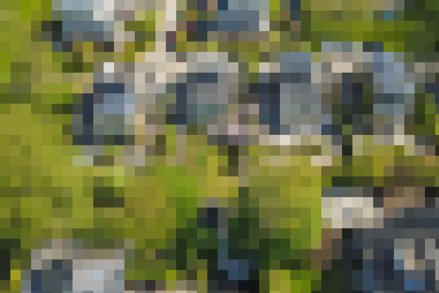 Boerensloot 4 Gouda thumbnail 60