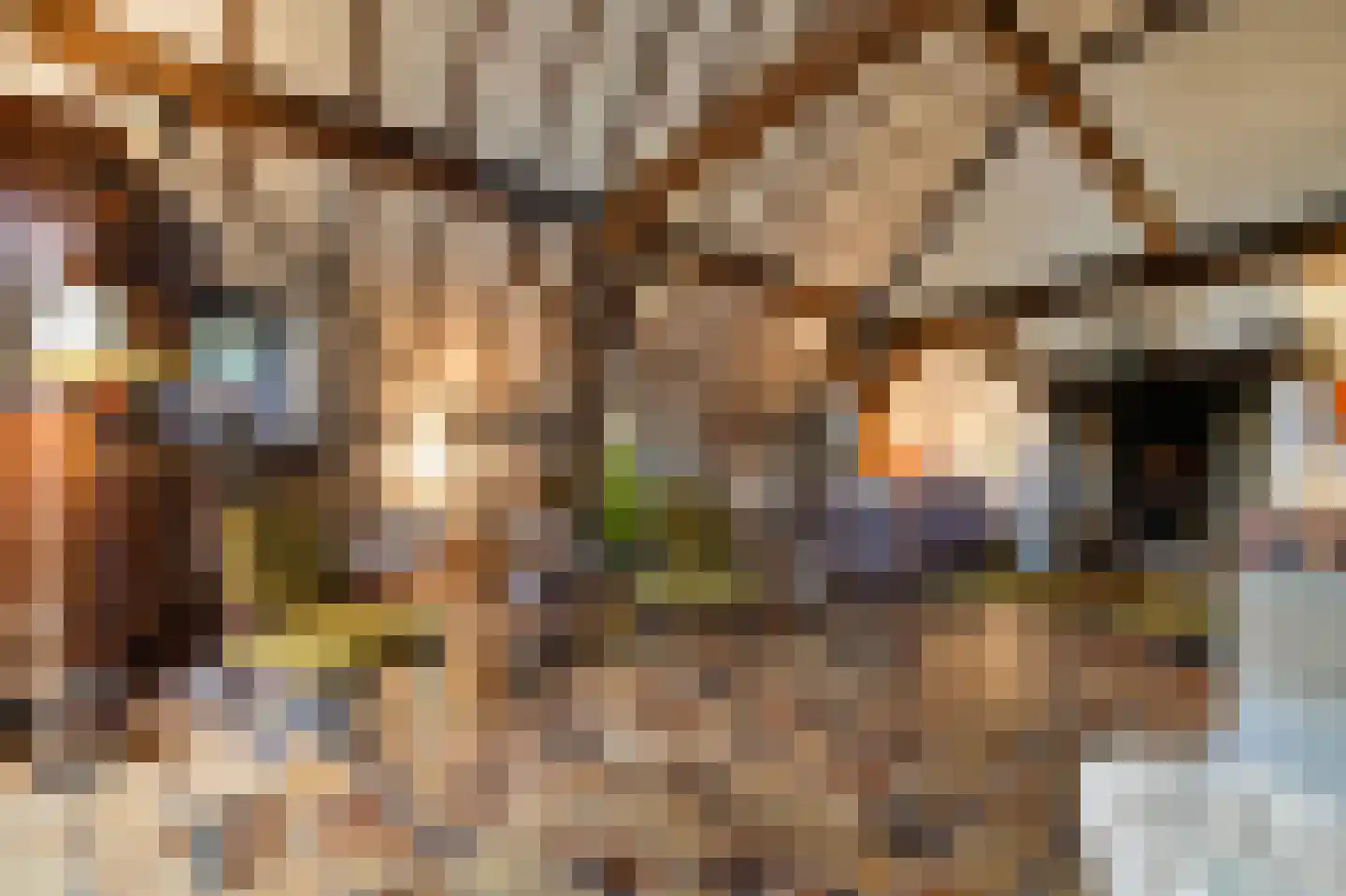 Boerensteeg 10 Huizen thumbnail 10