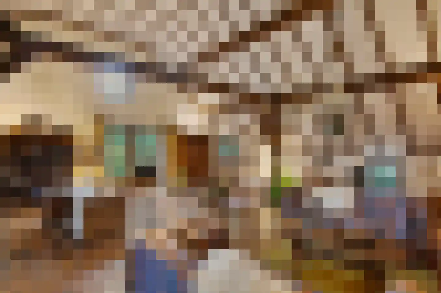 Boerensteeg 10 Huizen thumbnail 14