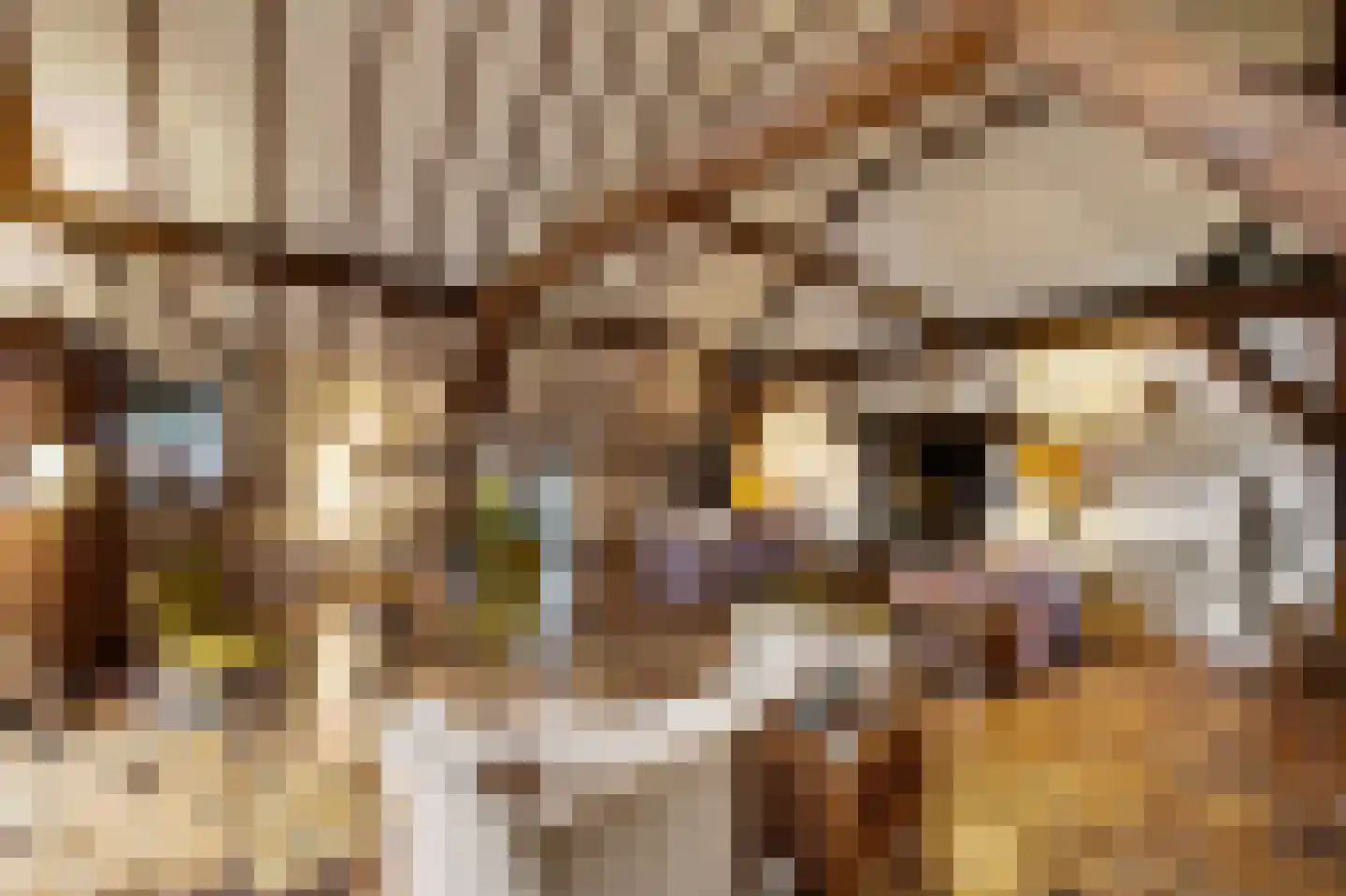 Boerensteeg 10 Huizen thumbnail 15