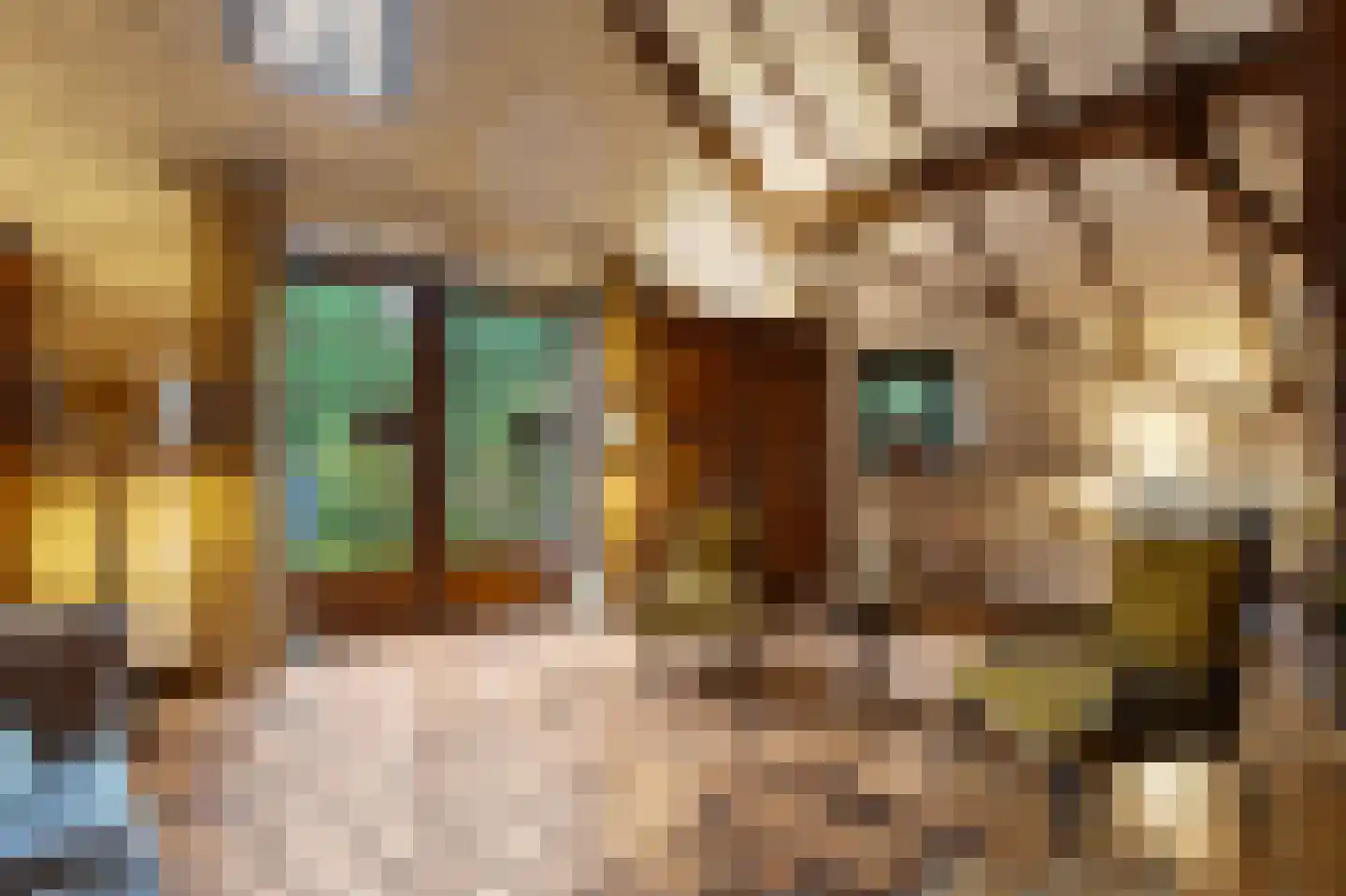 Boerensteeg 10 Huizen thumbnail 16
