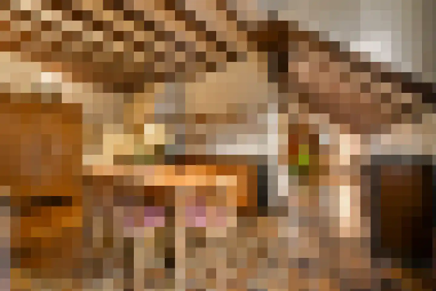 Boerensteeg 10 Huizen thumbnail 17