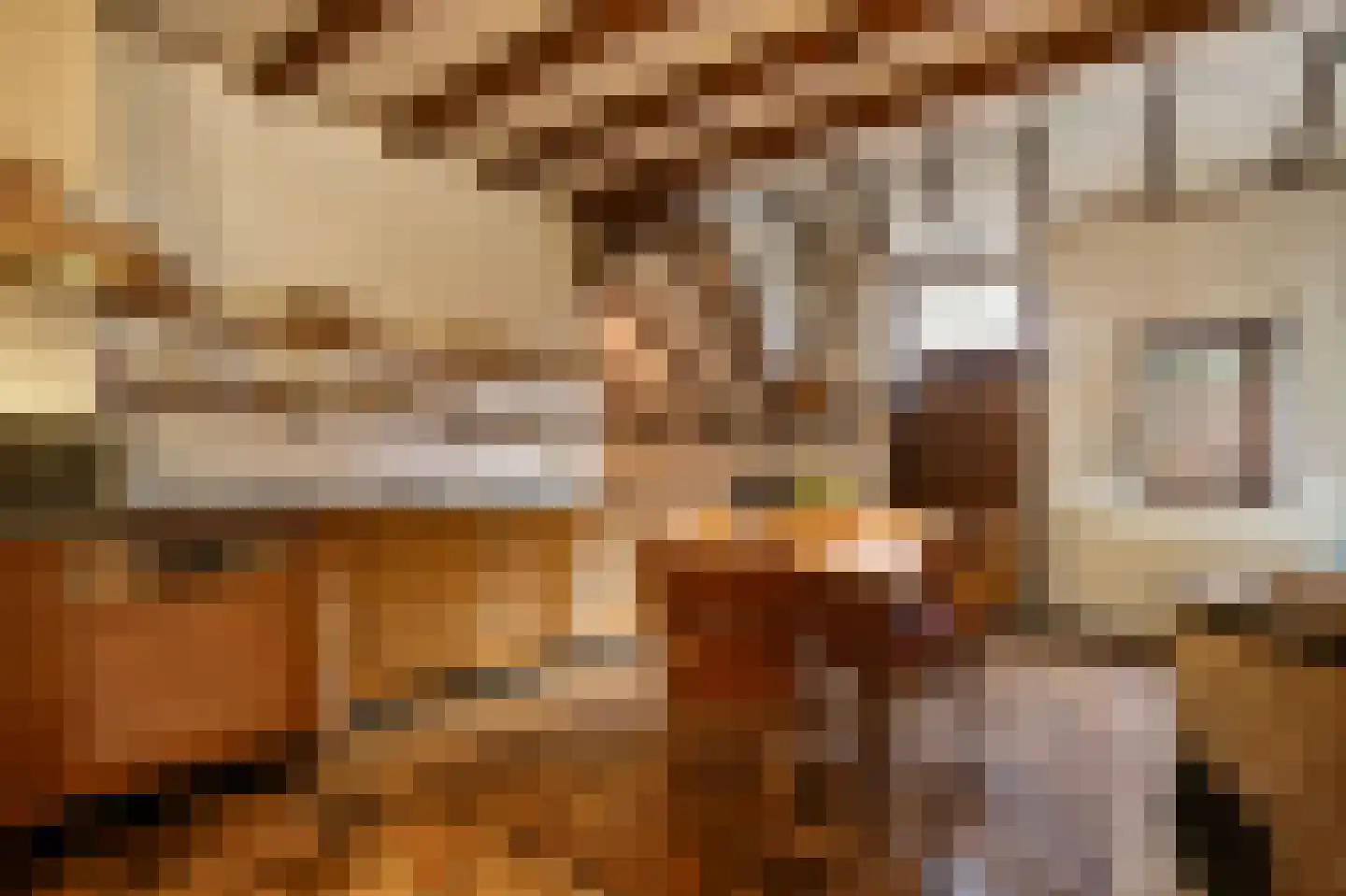 Boerensteeg 10 Huizen thumbnail 18