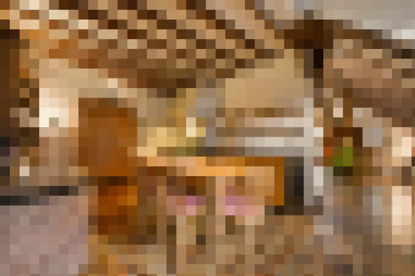 Boerensteeg 10 Huizen thumbnail 19