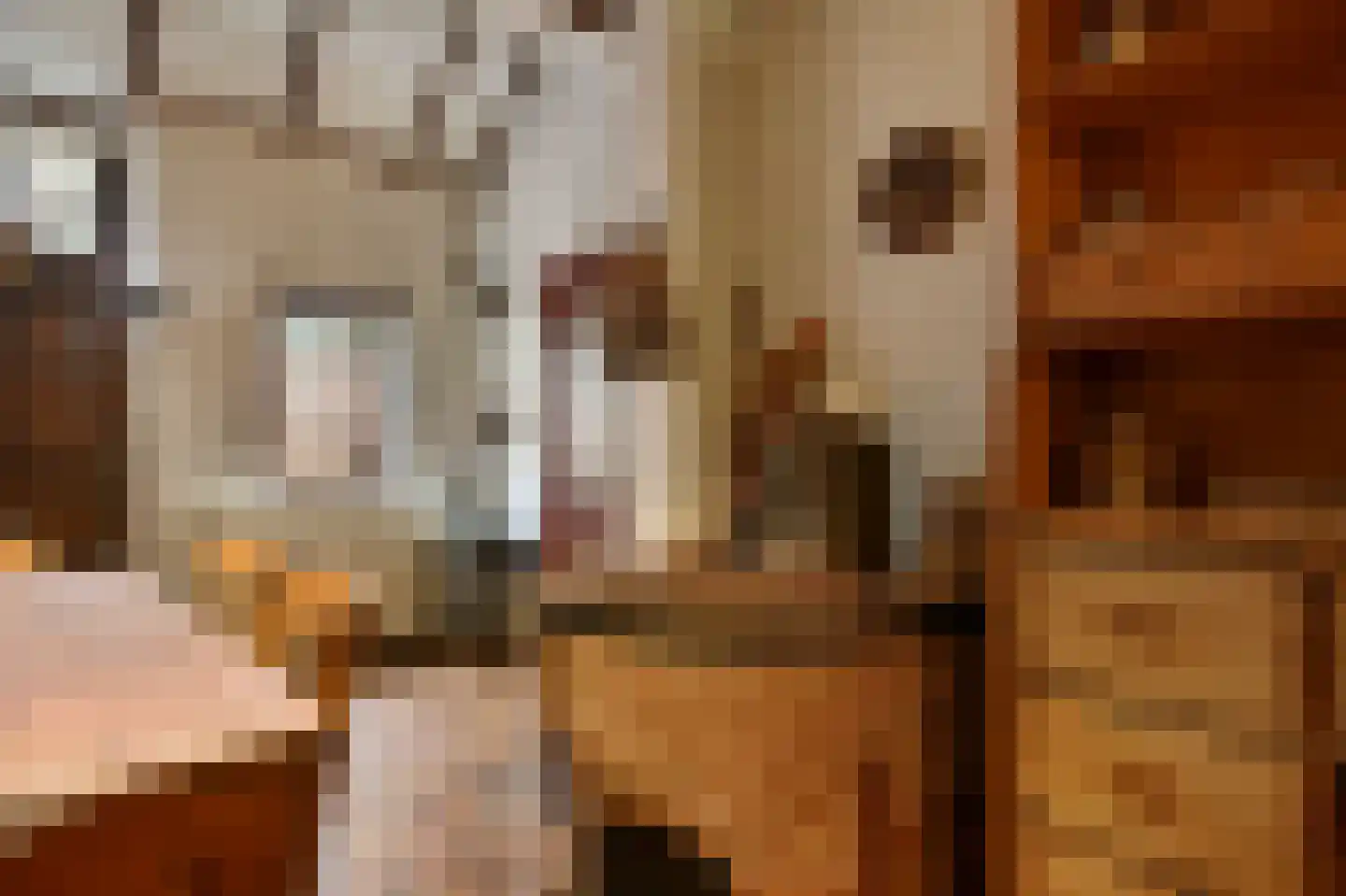 Boerensteeg 10 Huizen thumbnail 20