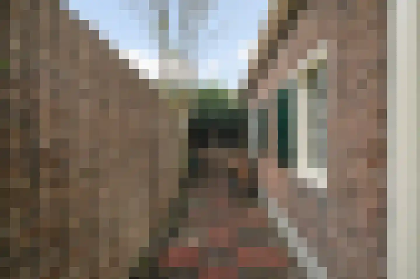 Boerensteeg 10 Huizen thumbnail 21