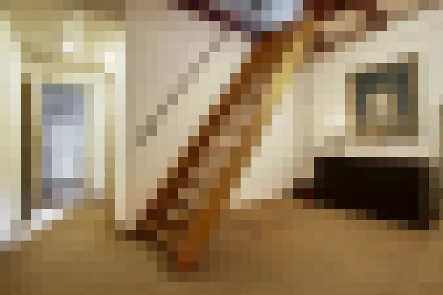 Boerensteeg 10 Huizen thumbnail 28