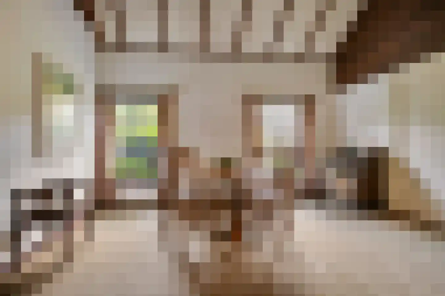 Boerensteeg 10 Huizen thumbnail 29