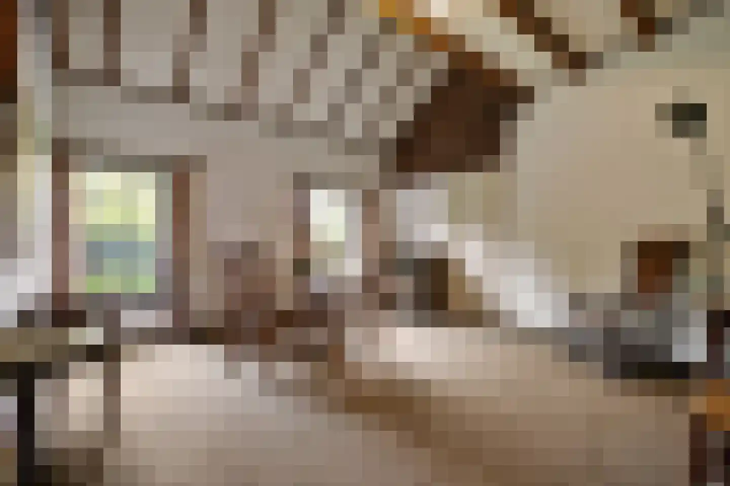 Boerensteeg 10 Huizen thumbnail 30