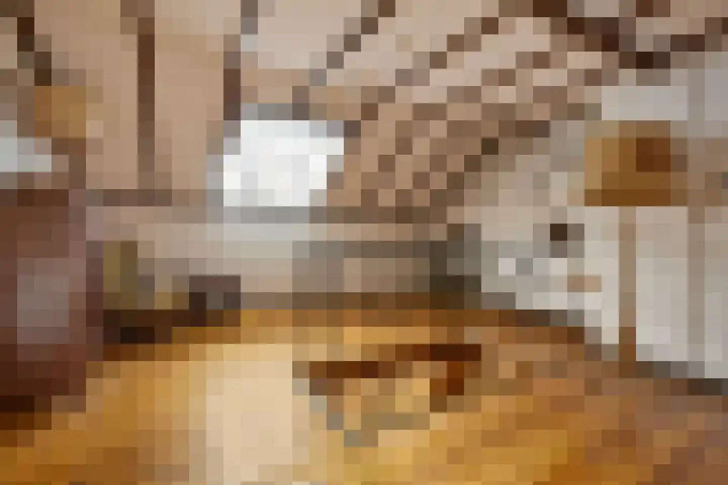 Boerensteeg 10 Huizen thumbnail 37
