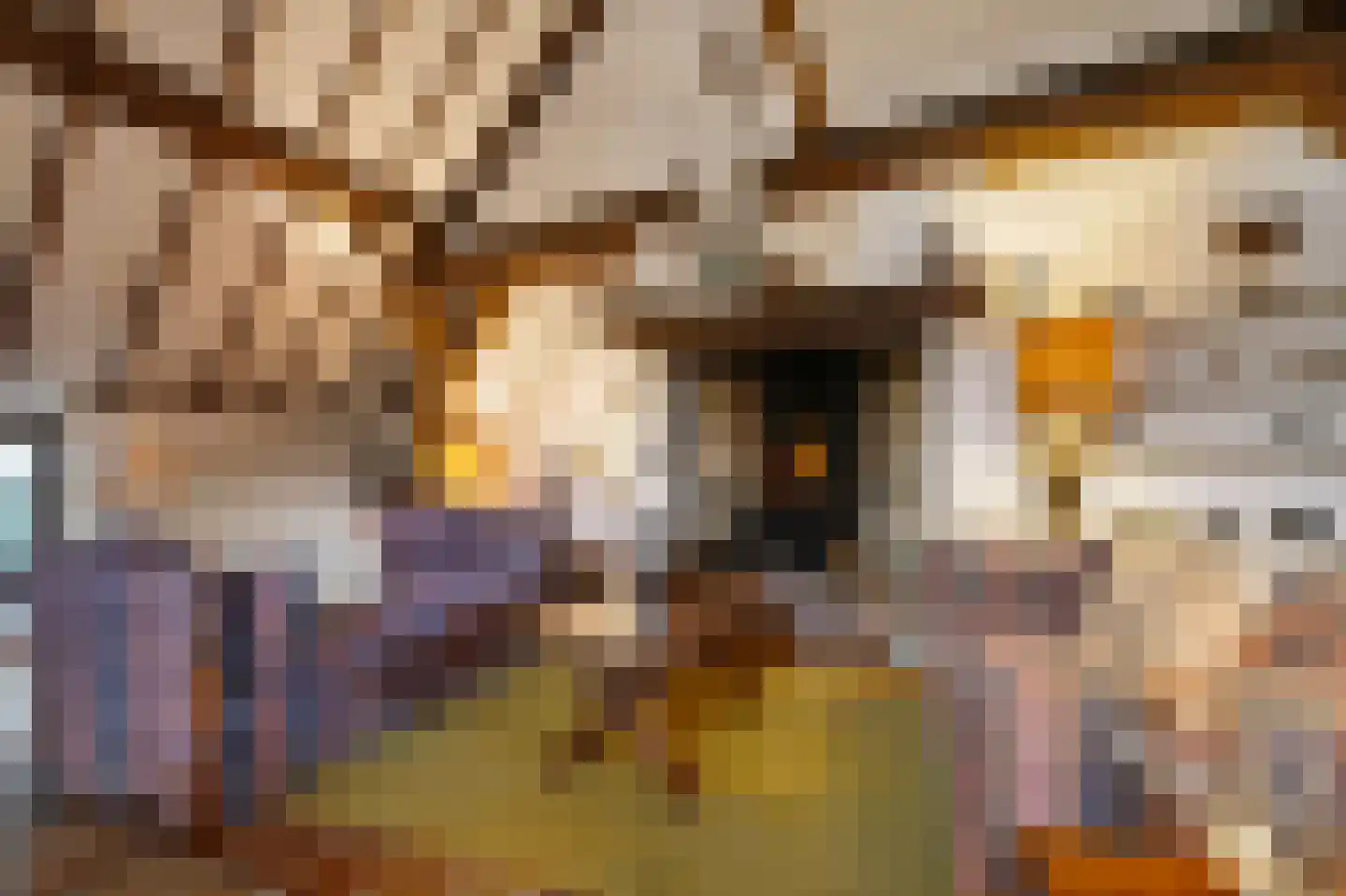 Boerensteeg 10 Huizen thumbnail 4