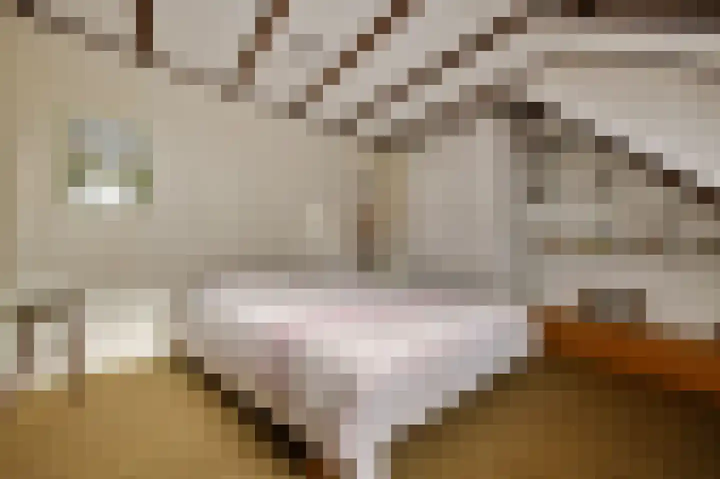 Boerensteeg 10 Huizen thumbnail 40