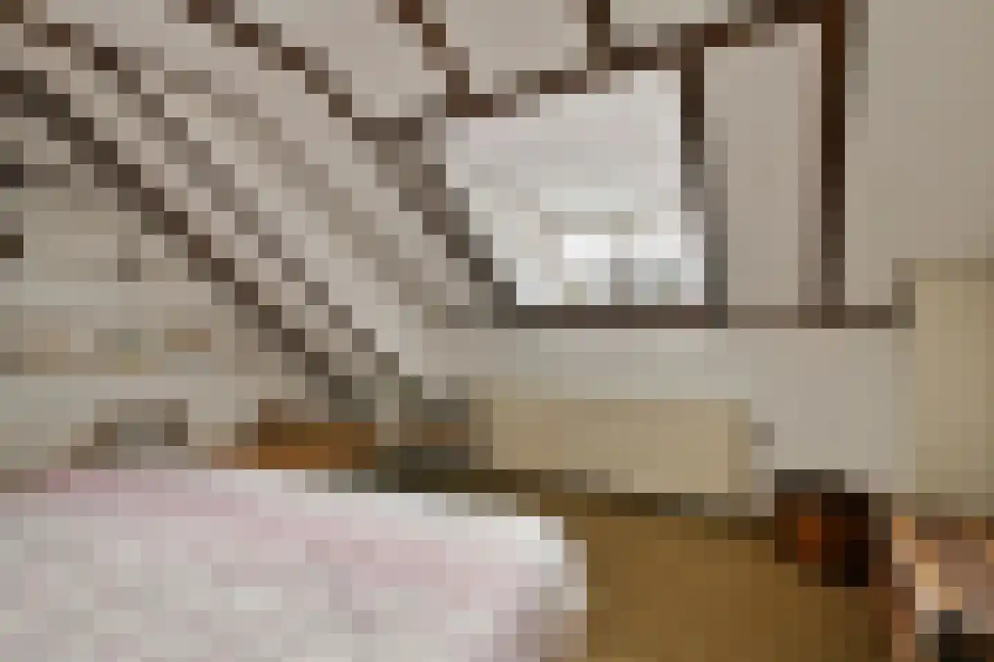 Boerensteeg 10 Huizen thumbnail 42