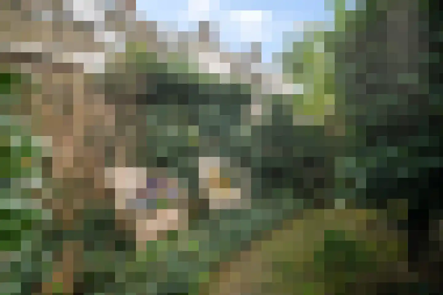 Boerensteeg 10 Huizen thumbnail 48