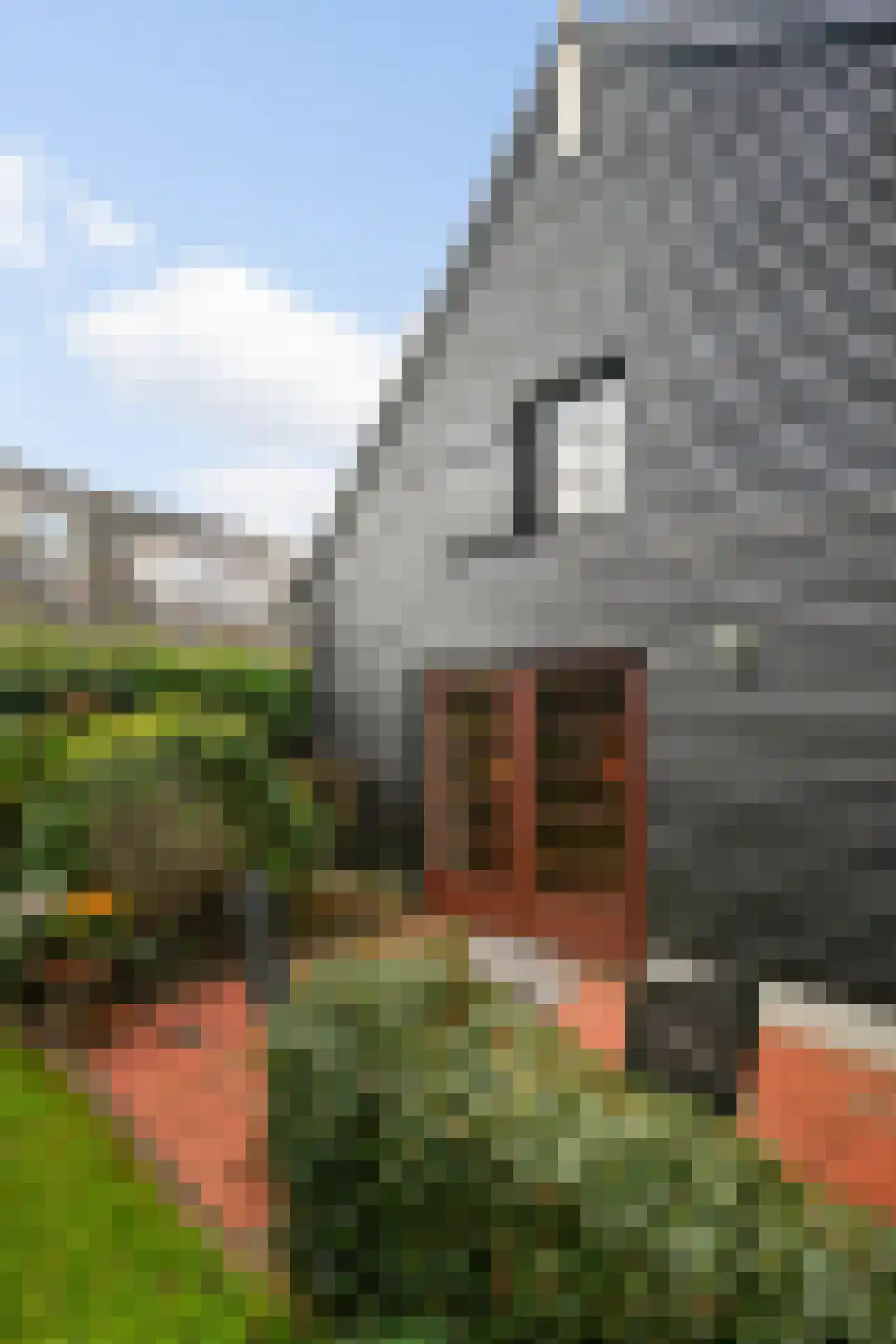 Boerensteeg 10 Huizen thumbnail 49